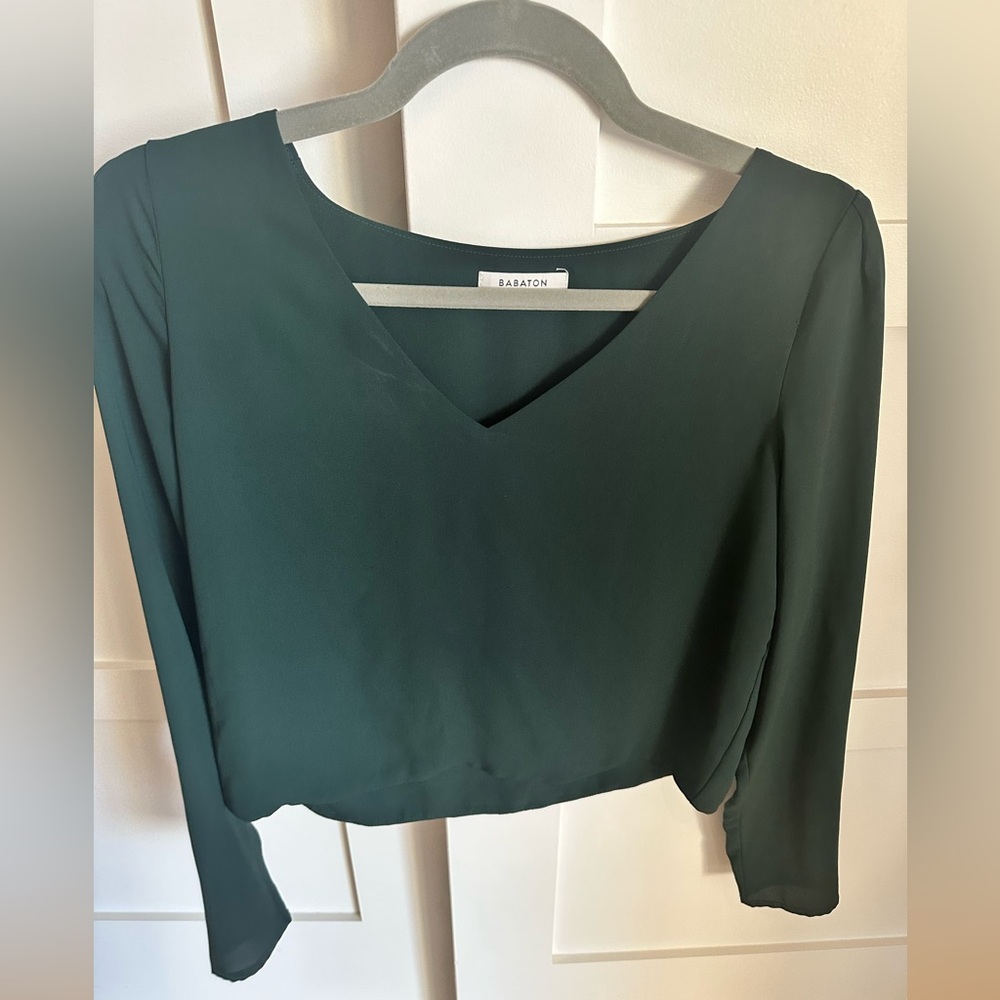 Aritzia Barbaton silk blouse
